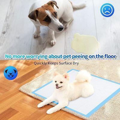 Hunde Katzen usw. Haustiere Waschbare wasserdichte Haustiermatte für Urin-Absorber-Training