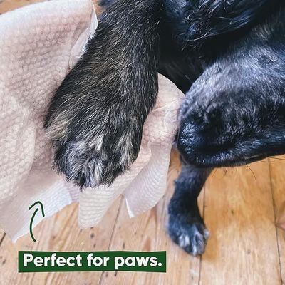 150*200mm Weiches, umweltfreundliches Haustierwindeln für Hunde 100 Stück Spunlace Nonwoven Entfernt Gerüche