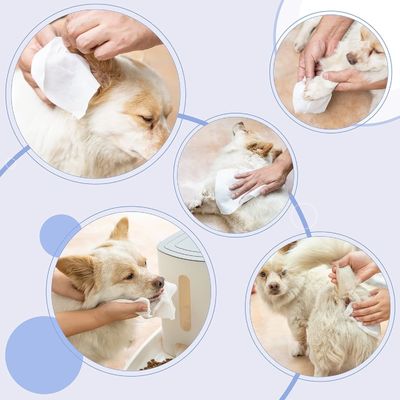 150*200mm Weiches, umweltfreundliches Haustierwindeln für Hunde 100 Stück Spunlace Nonwoven Entfernt Gerüche