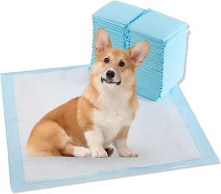 Extra große Einweg-Hundepolster 56x56cm für das tägliche Potty Training