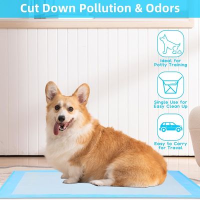 Extra große Einweg-Hundepolster 56x56cm für das tägliche Potty Training
