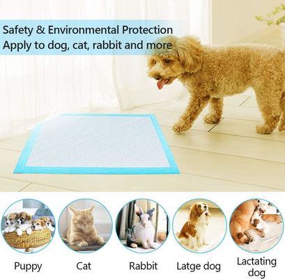 Extra große Einweg-Hundepolster 56x56cm für das tägliche Potty Training