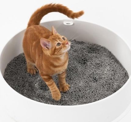Einfache Reinigung und Geruchskontrolle Tofu Katzenmüll für Haustiere mit individuellem Service