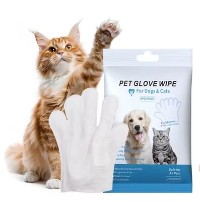 Personalisiertes Logo akzeptabel 6PCS Pack Pet Reinigungshandschuhe für PET Pflege Nasstücher