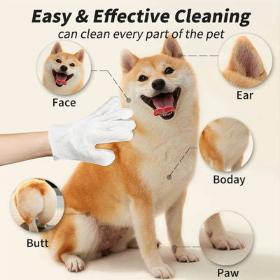 Personalisiertes Logo akzeptabel 6PCS Pack Pet Reinigungshandschuhe für PET Pflege Nasstücher