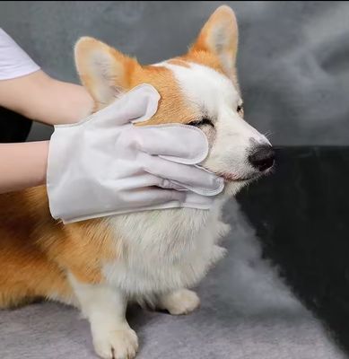 Nicht gewebte Blaue Packung Reinigung Einweg-Haustierpflege Handschuhe Nasstücher für Hunde Katzen