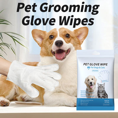 Nicht gewebte Blaue Packung Reinigung Einweg-Haustierpflege Handschuhe Nasstücher für Hunde Katzen