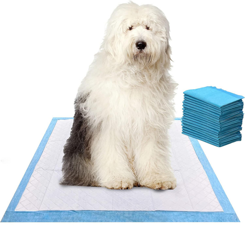 56*56cm Super-Absorptions-Wasserdichtes Einweg-Trainingspad für Welpen